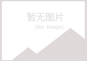 八公山区如天能源有限公司